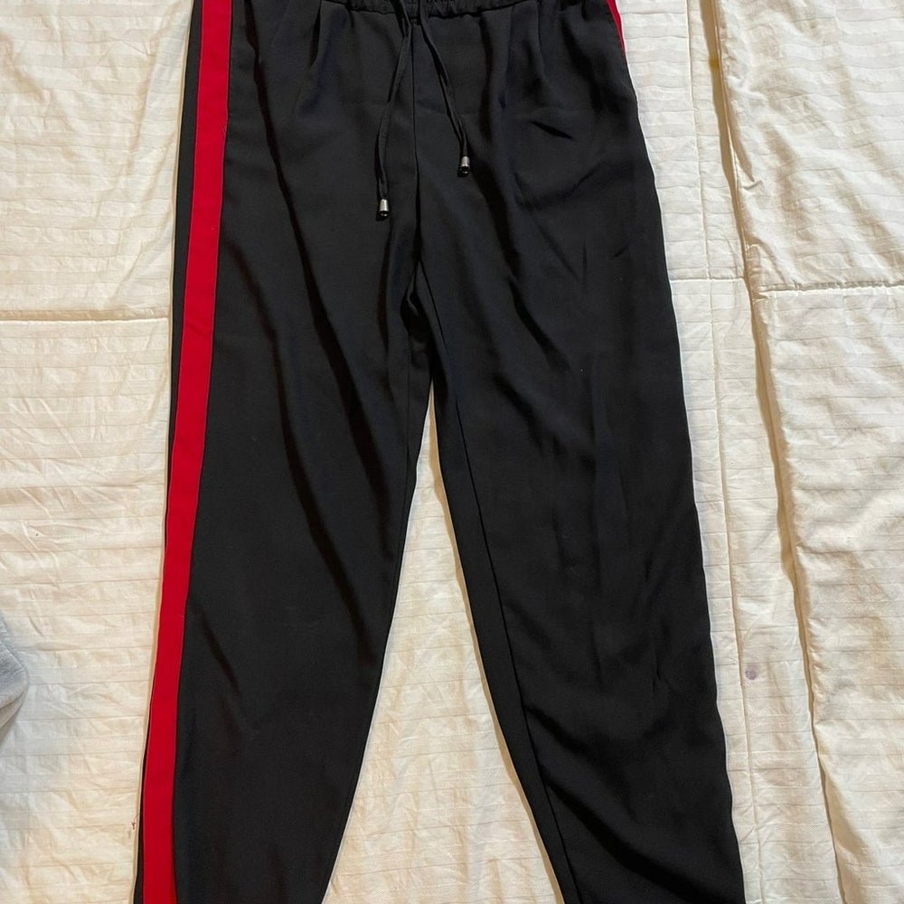 Zara basic pants